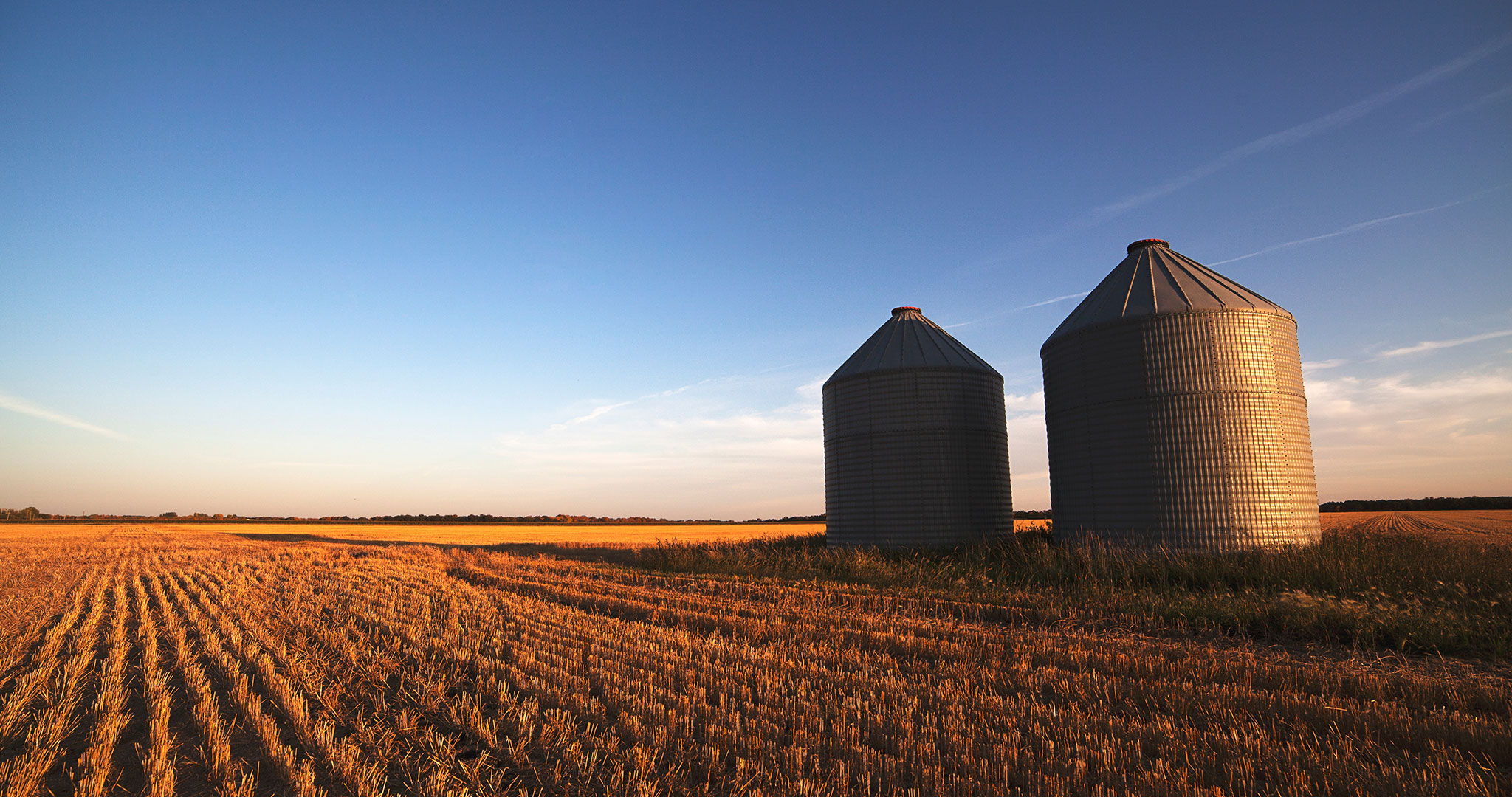 Farm Field Silos